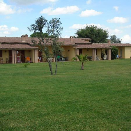 Aliseo Villa Marina di Grosseto Exterior photo